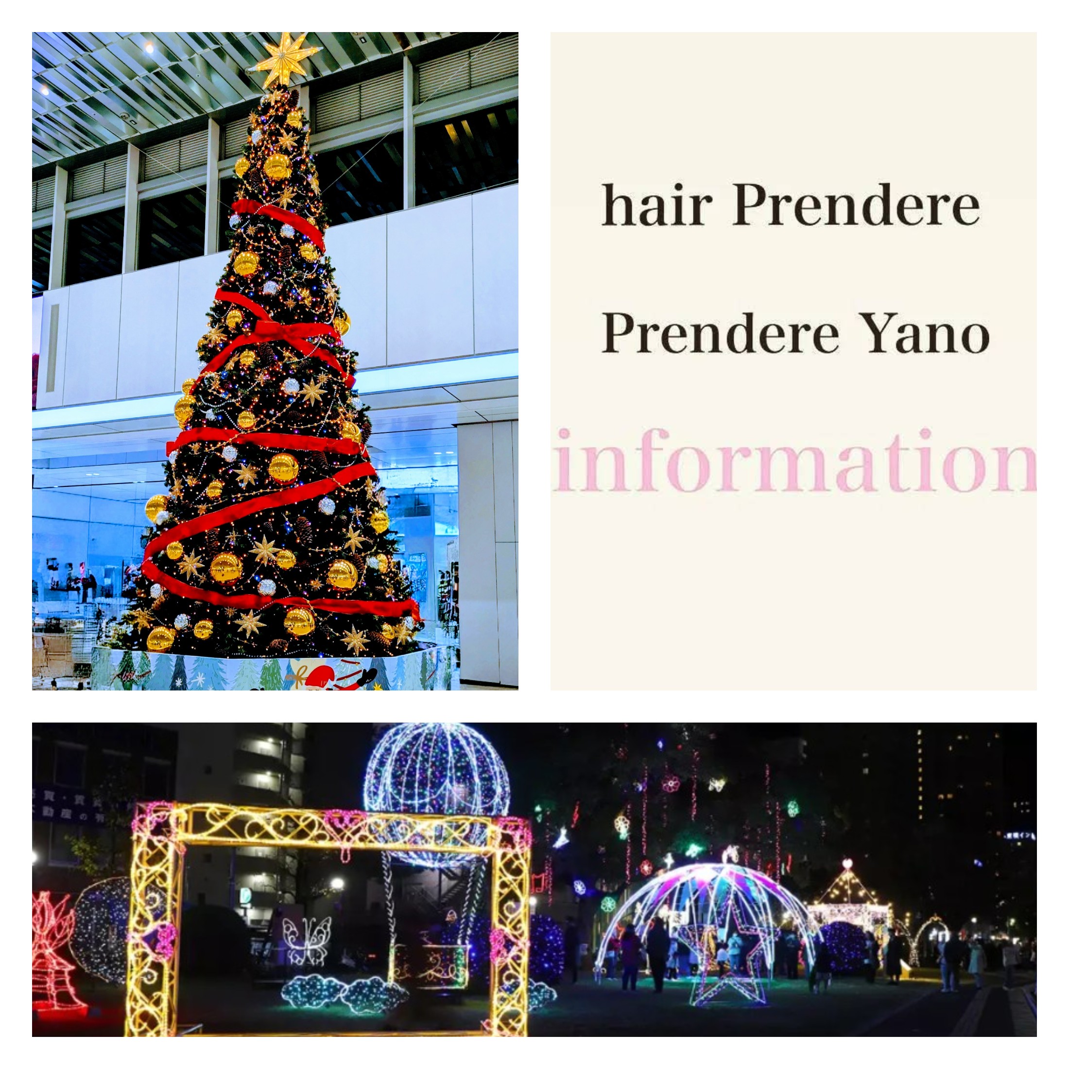 12月店休日のお知らせ