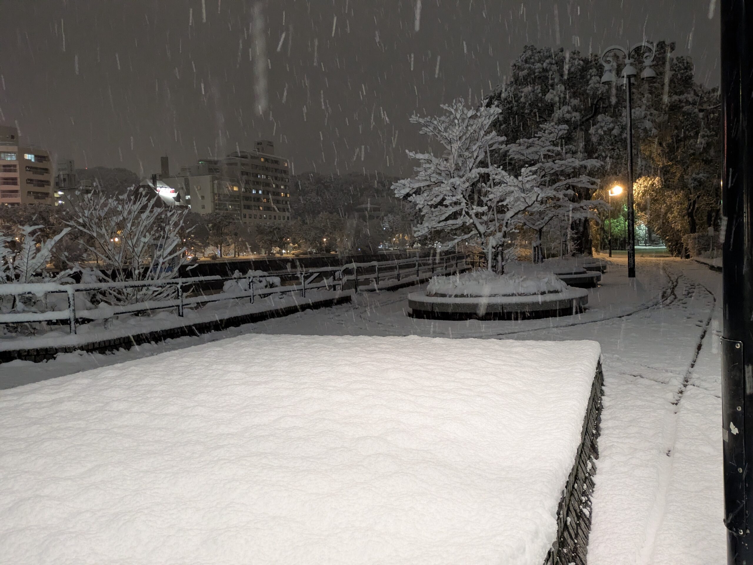 雪降りましたね☃