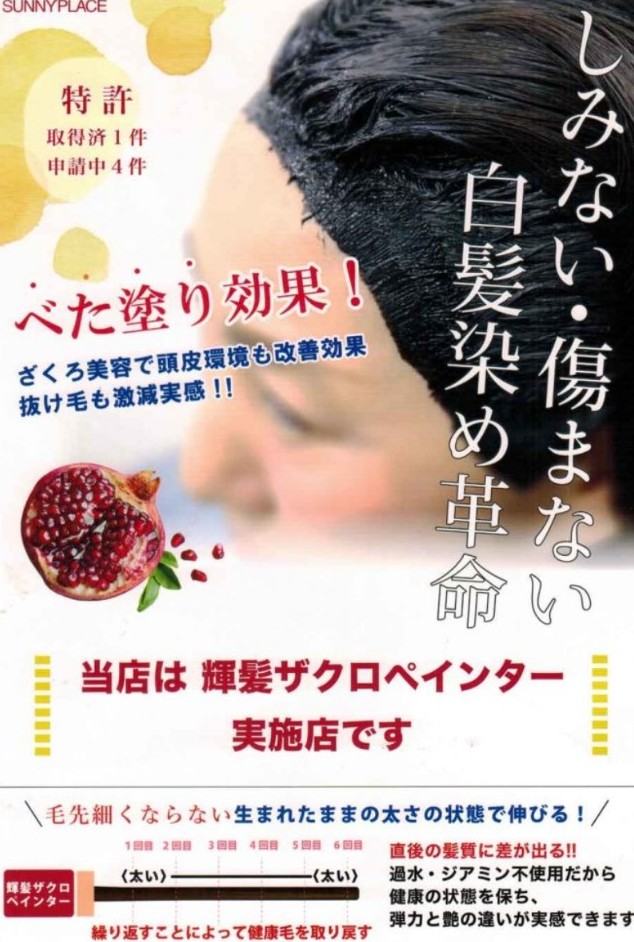 ノンジアミンカラー『ザクロペインター』